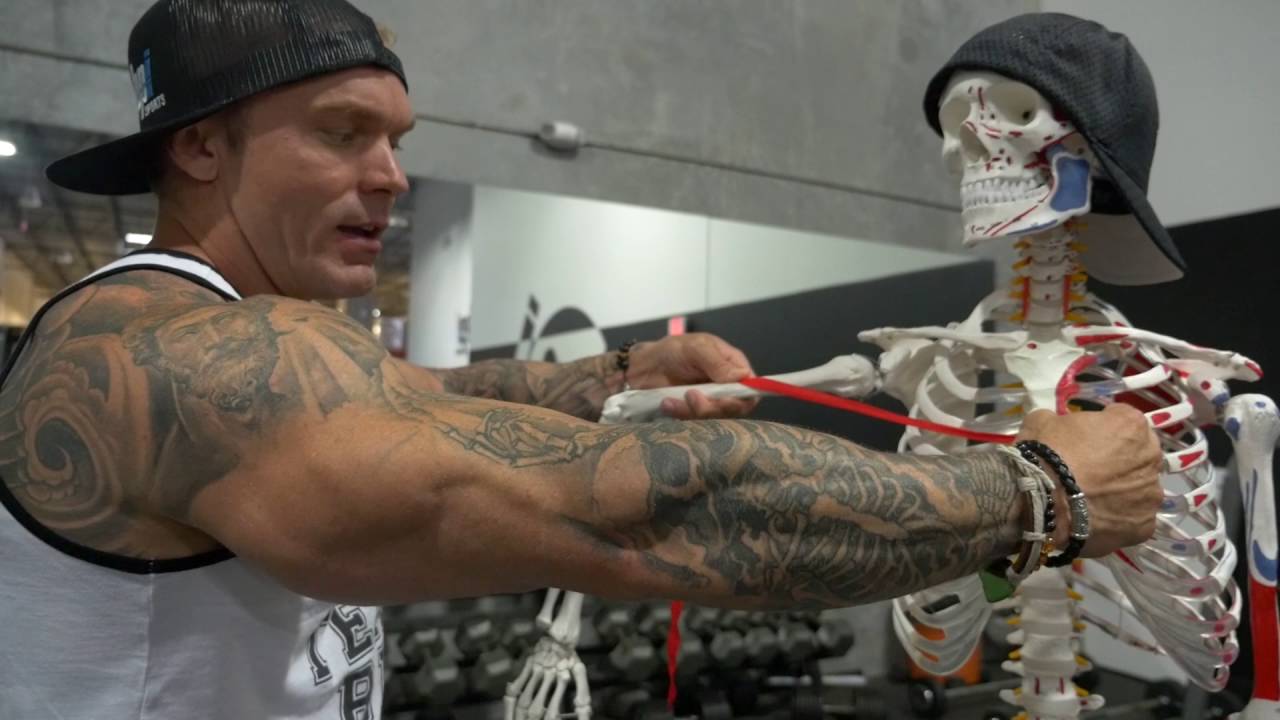 Bench Press Isn't the Best Exercise for Your Chest