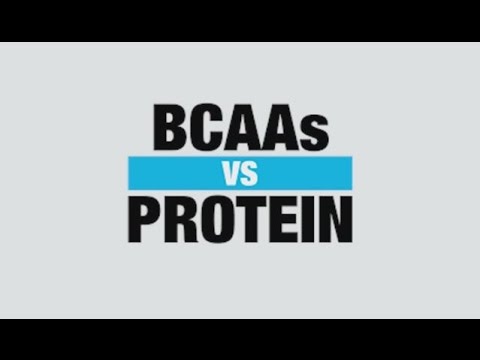BCAA vs. Protein: Which Supplement Is Better for Muscle Building?